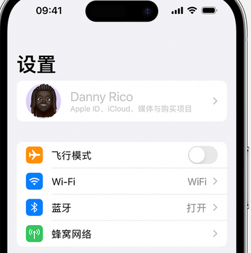 会东appleID维修服务iPhone设置中Apple ID显示为灰色无法使用 