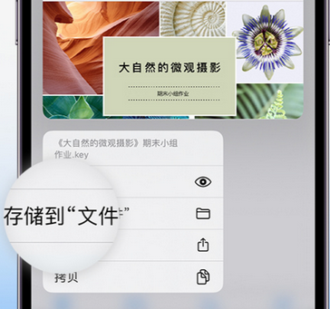 会东apple维修中心分享iPhone文件应用中存储和找到下载文件