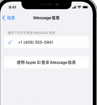 会东apple维修iPhone上无法正常发送iMessage信息 