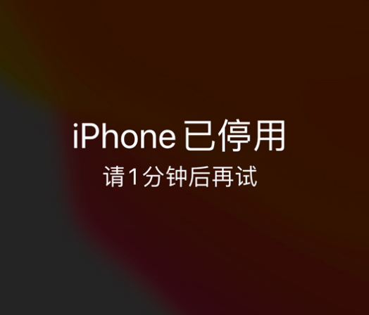 会东苹果手机维修分享:iPhone 显示“不可用”或“已停用”怎么办？还能保留数据吗？ 