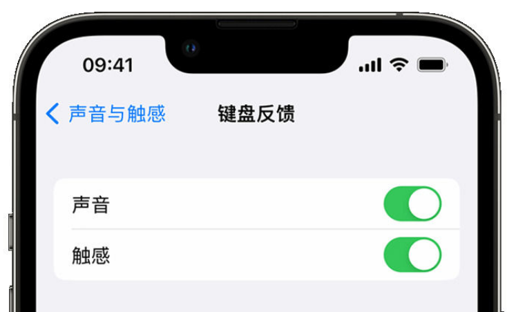 会东苹果手机维修分享iPhone 14触感键盘使用方法 