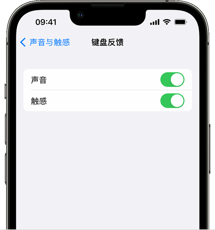 会东苹果14维修店分享如何在 iPhone 14 机型中使用触感键盘 