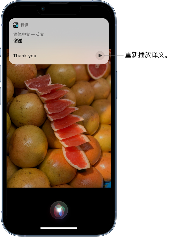 会东苹果14维修分享 iPhone 14 机型中使用 Siri：了解 Siri 能帮你做什么 