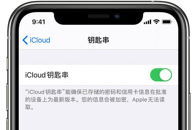 会东苹果手机维修分享在 iPhone 上开启 iCloud 钥匙串之后会储存哪些信息 